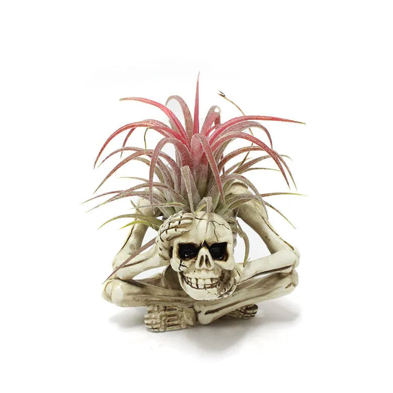 Gothic skull design resin bracket for tillandsia plants with iron stand