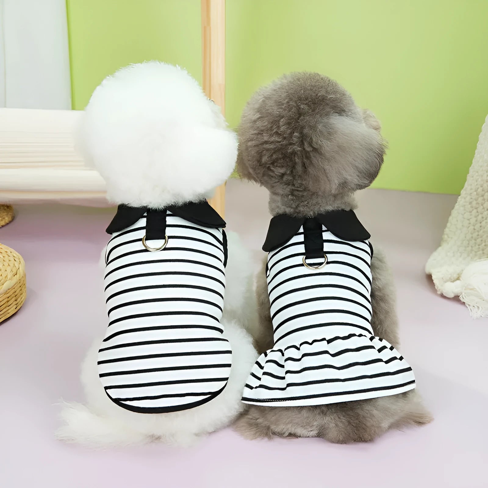 Dog wearing a striped cotton t-shirt and matching skirt from a casual summer two-piece pet clothing set.