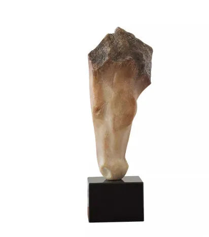 French retro abstract horse head desktop sculpture ornament with carved finish