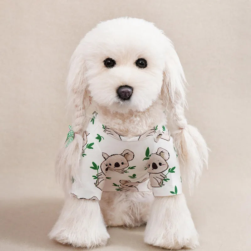 A small dog wearing a colourful printed polyester t-shirt, showing the casual spring and autumn pet clothing.