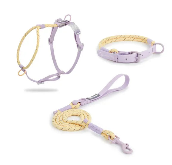 Solid colour PVC dog hand holding rope leash in dark red purple yellow on a green background.