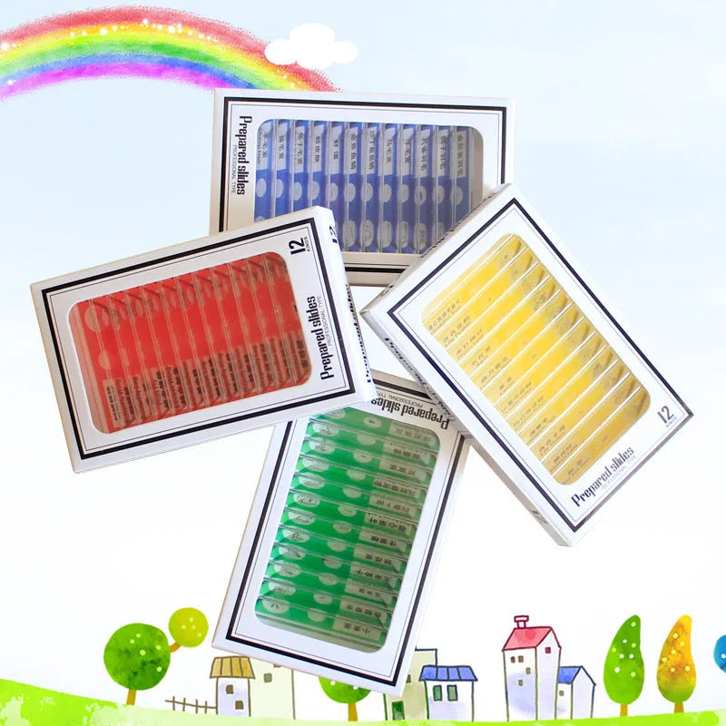 Set of 48 plastic educational microscope slides in red, green, yellow, and blue boxes for children's science observation.
