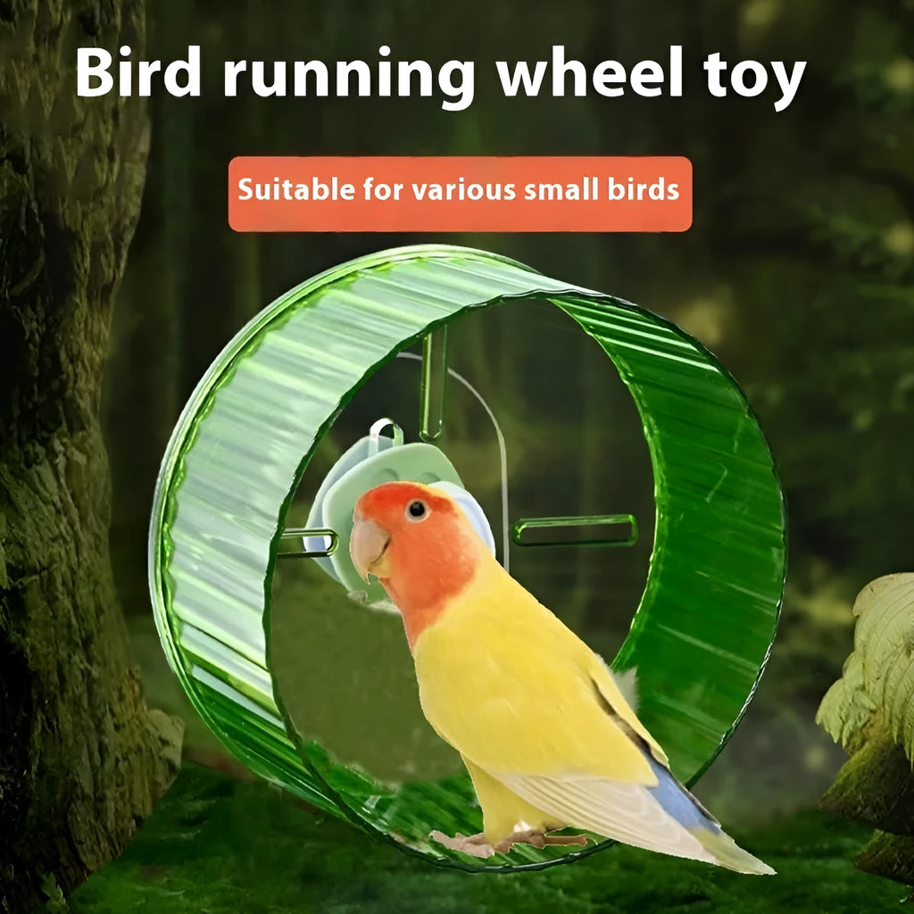 21cm plastic parrot running wheel toy in transparent colour option for bird cage exercise