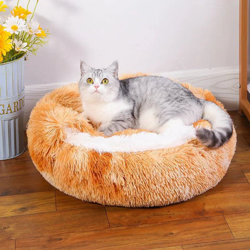 Semi-enclosed waterproof fabric dog kennel in a gradient colour, shown in a 50cm size.