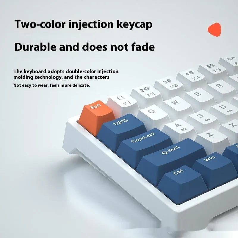 61-key compact mechanical keyboard with hot-swappable sockets and multiple switch options