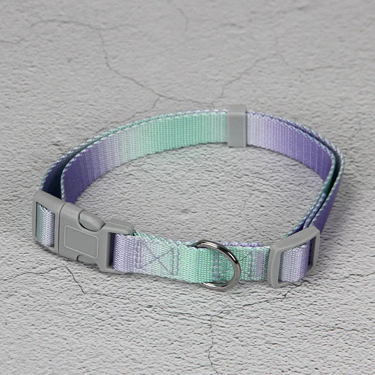 Nylon dog leash and collar set in a gradient colour design of blue and pink