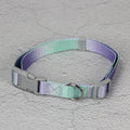 Nylon dog leash and collar set in a gradient colour design of blue and pink