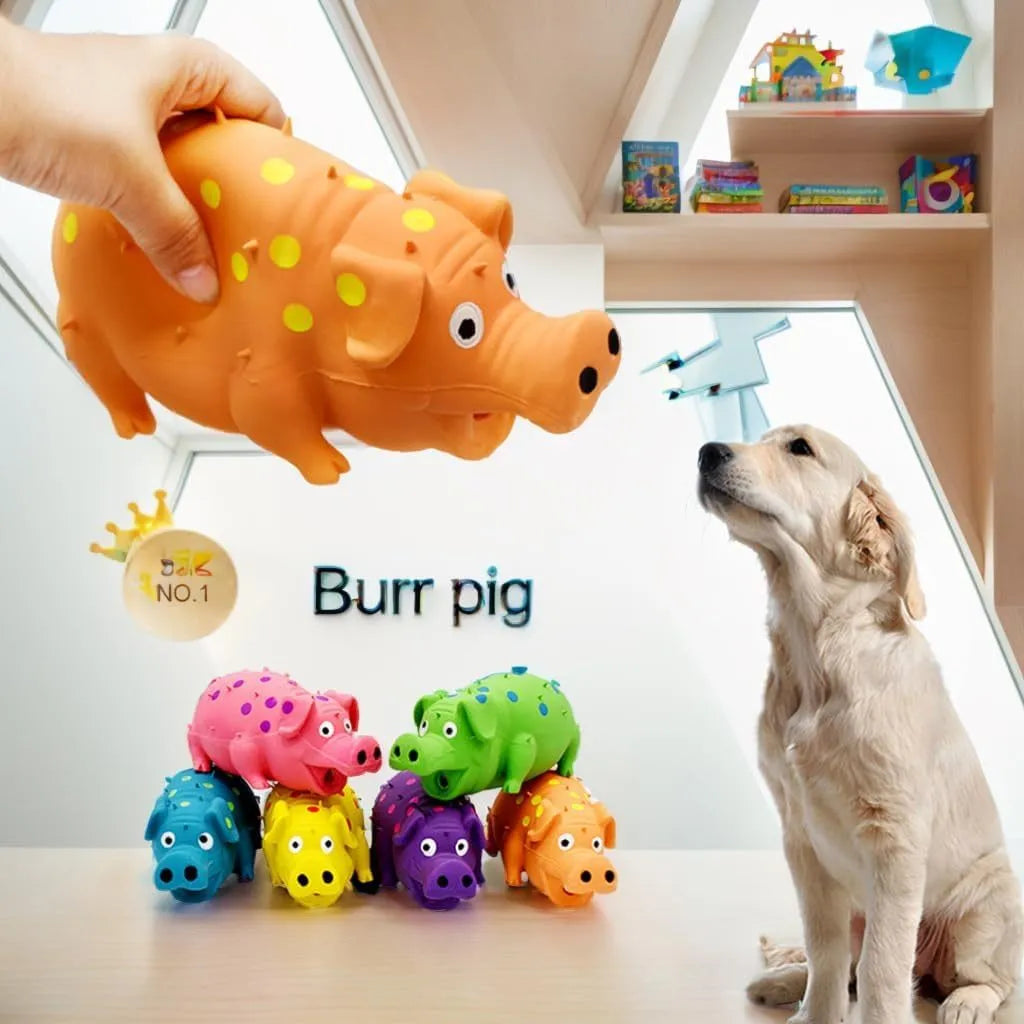 Colourful pig-shaped dog chew toy with textured surface and squeaker for teeth cleaning