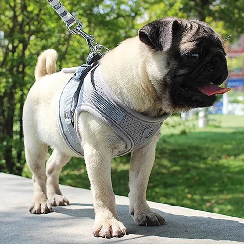 Reflective breathable polyester pet harness with 115cm leash and 1.5cm width, adjustable chest 26-55cm, grey black blue red