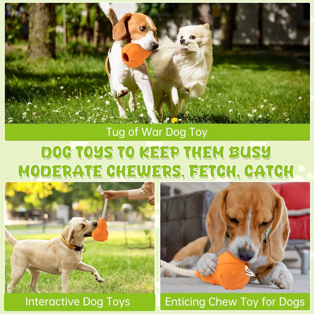 Natural rubber stuffable dog toy for small medium breeds on a green background