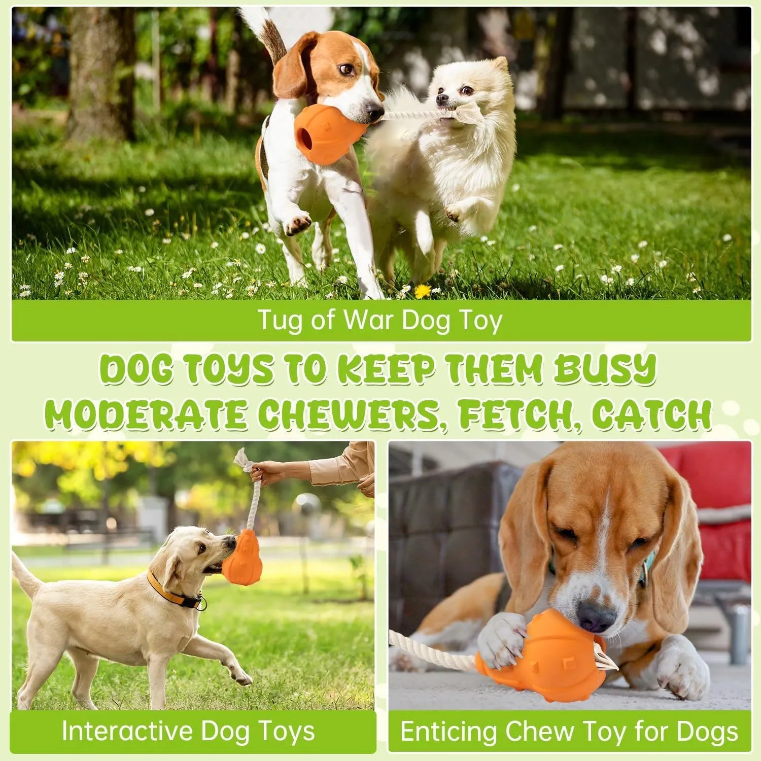 Natural rubber stuffable dog toy for small medium breeds on a green background