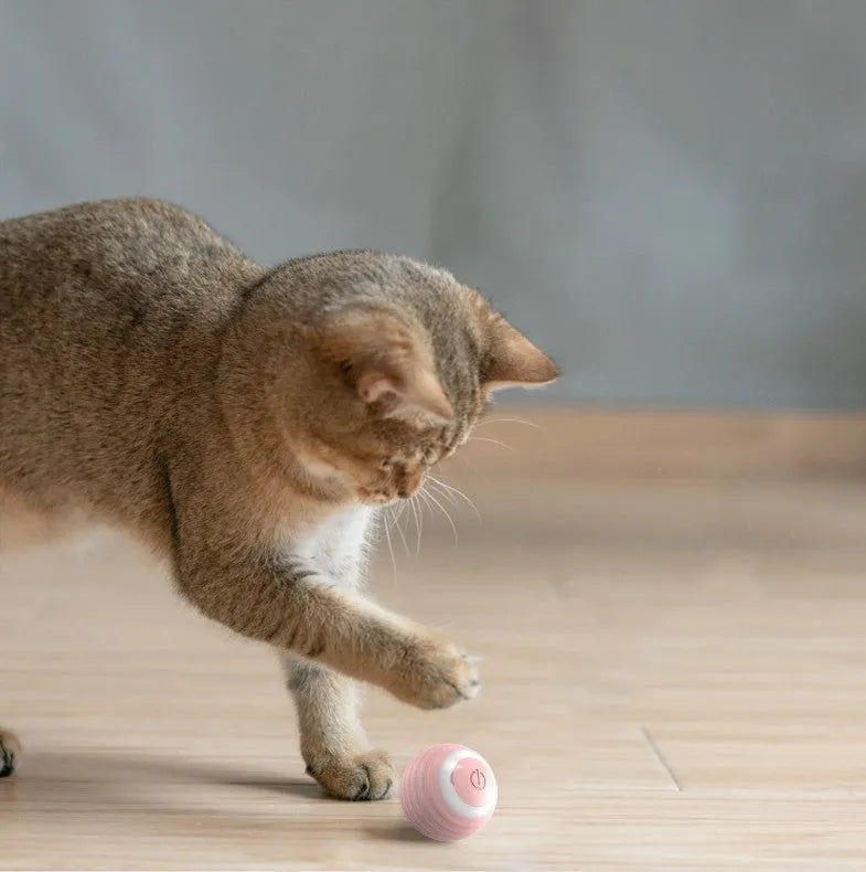 Blue rechargeable automatic moving cat toy ball with USB charging cable for indoor feline play