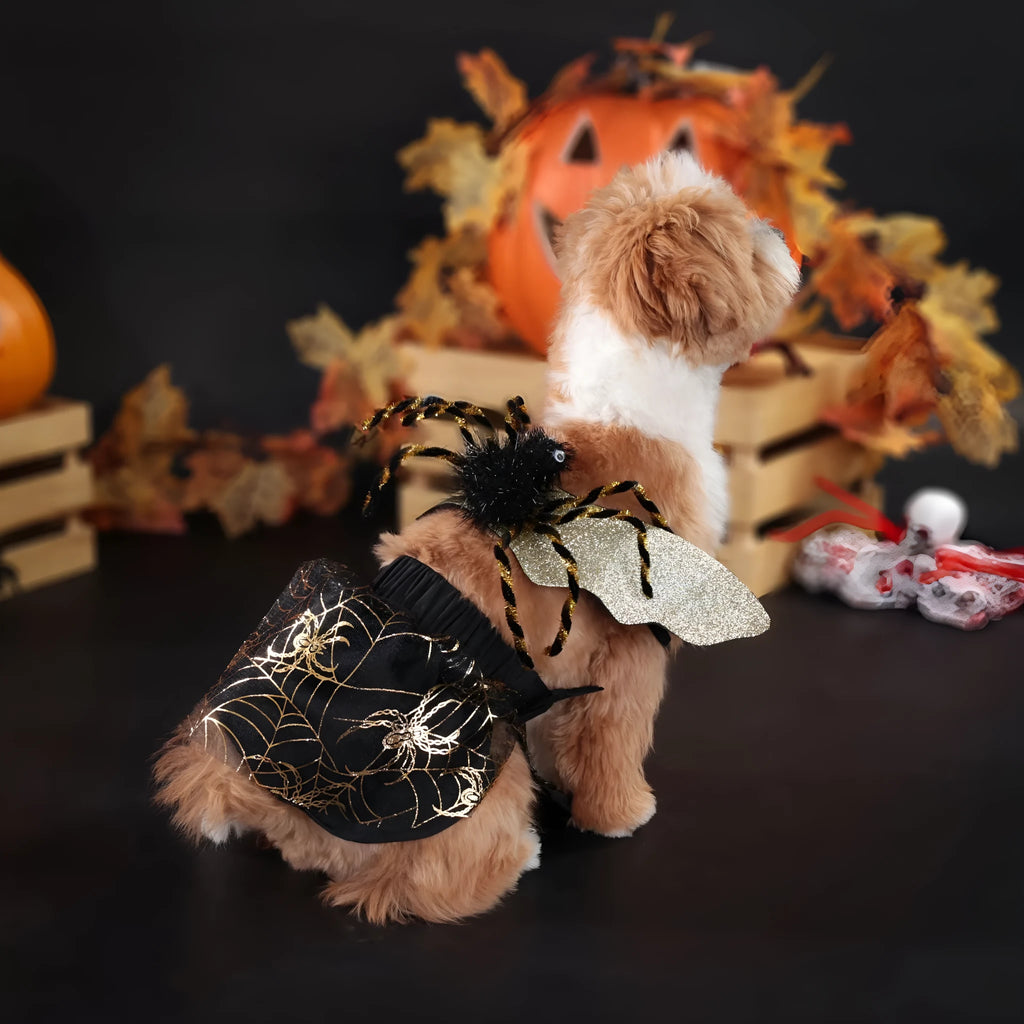 Halloween dog costume suit in polyester fabric shown on a pet, available in sizes S, M, L, and XL
