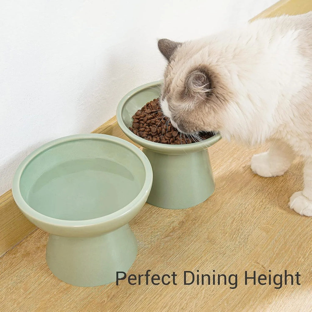 Extra-wide ceramic elevated cat bowl in blue colour showing shallow design