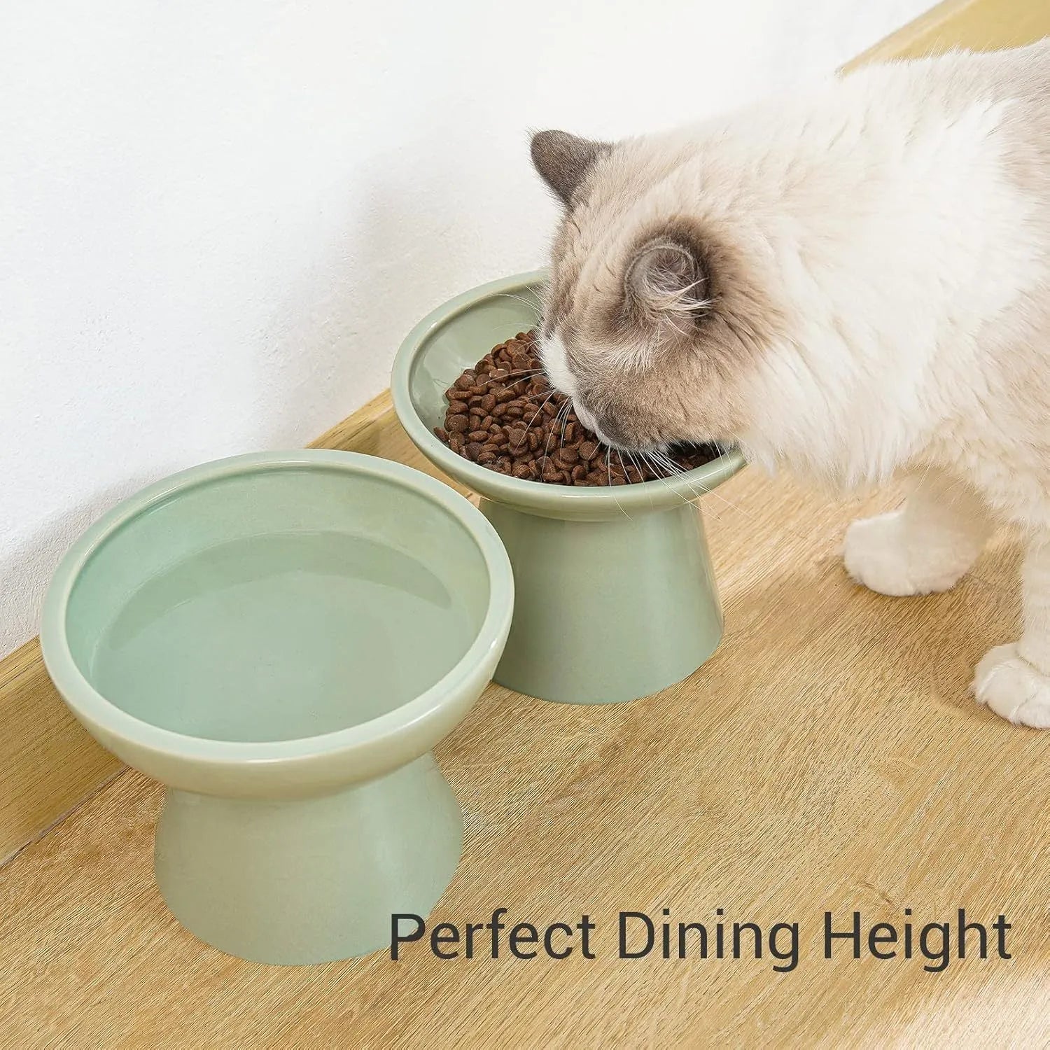 Extra-wide ceramic elevated cat bowl in blue colour showing shallow design