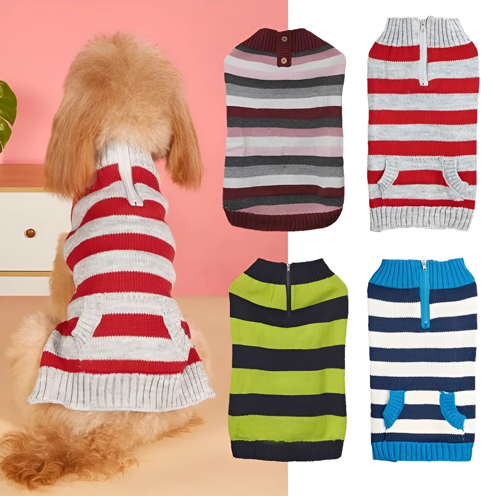 Grey dog sweater on a small breed, showing horizontal front zipper and chest pocket with button.