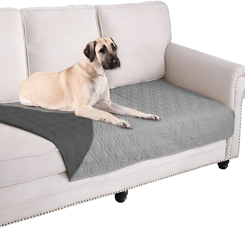 Reversible waterproof dog blanket on sofa showing two colour options, protecting furniture from pet accidents