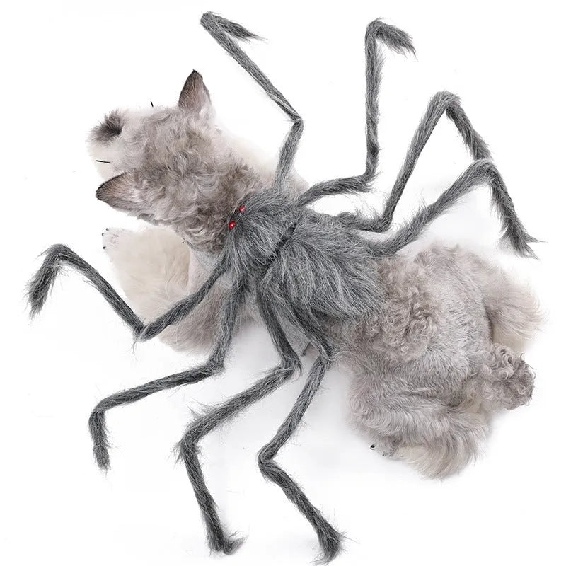 Halloween spider costume for pets in four colour options with three size choices