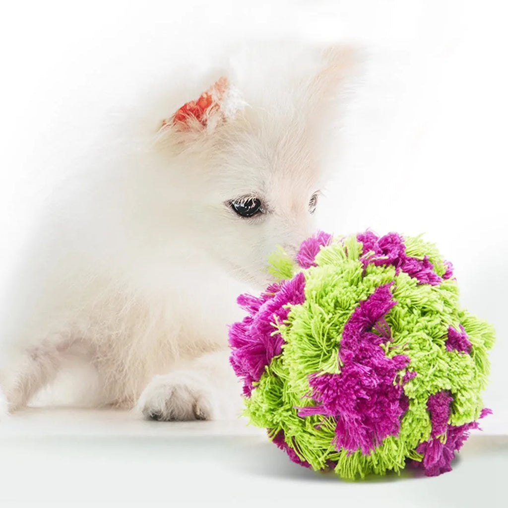 Purple plush seaweed ball dog chew toy for interactive play and teeth cleaning