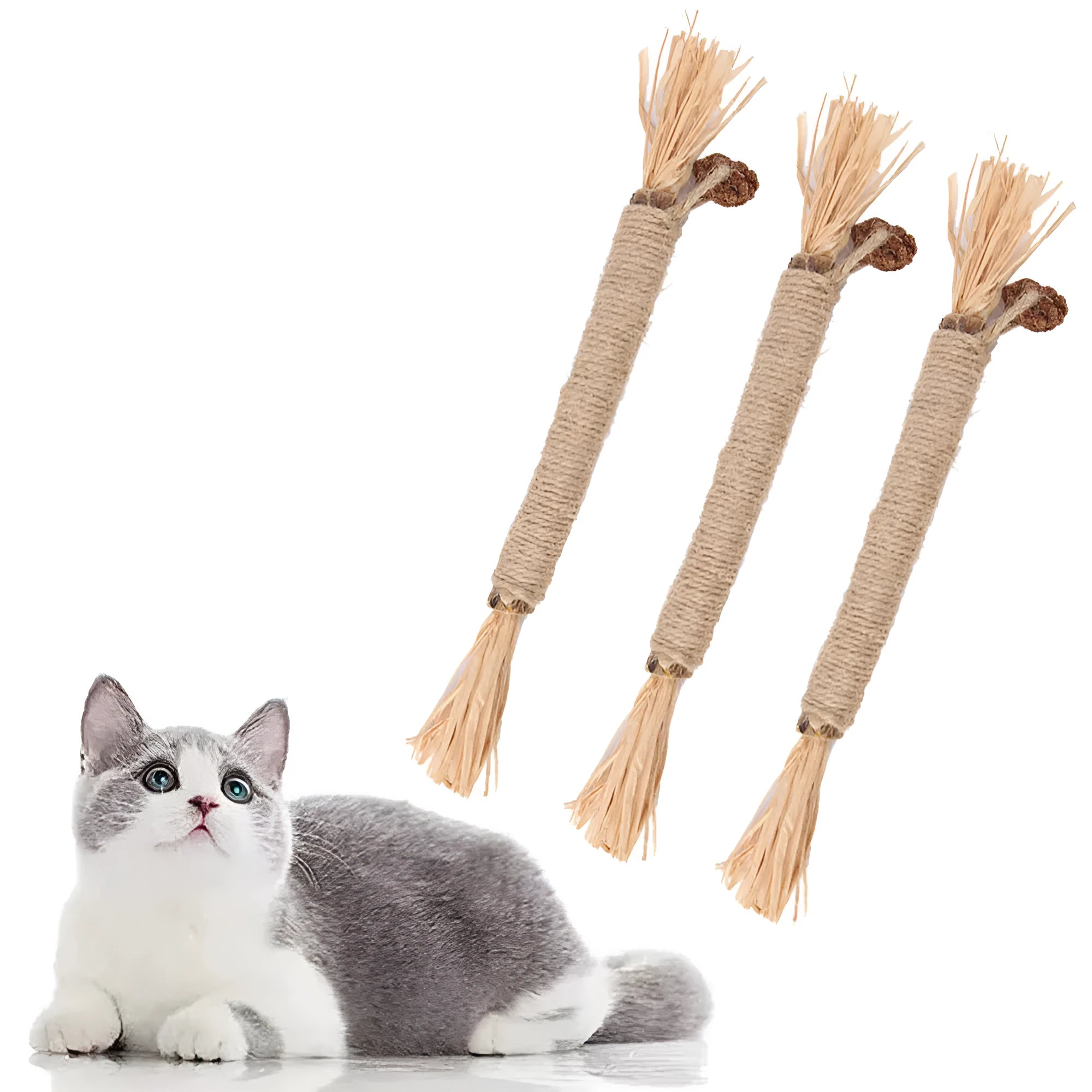 3 pack silvervine chew sticks for cats with sisal rope and raffia dental cleaning texture