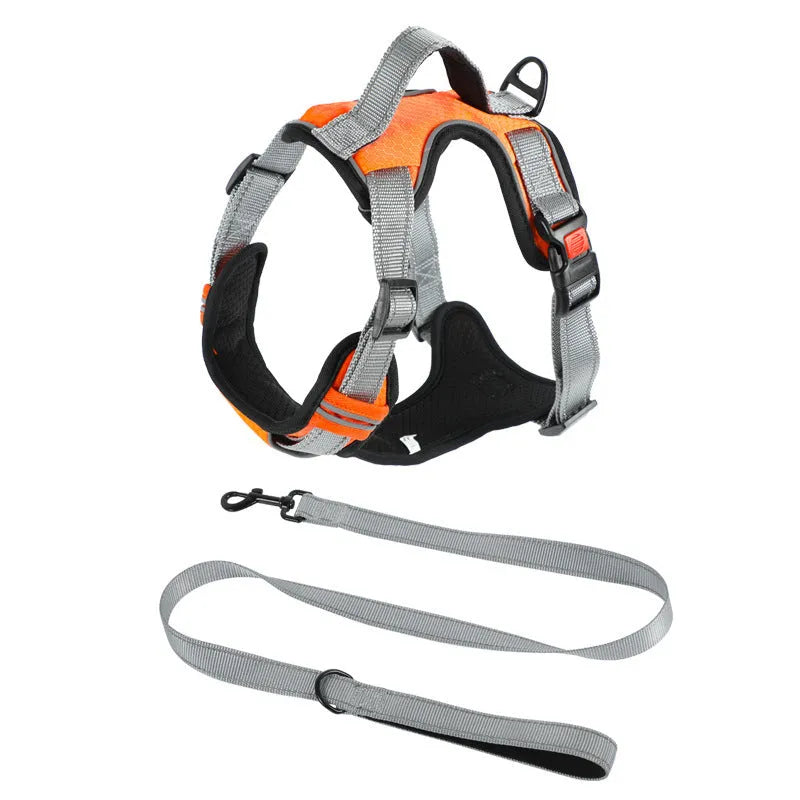 Adjustable dog harness with optional hand-held rope in various colour options for walking control