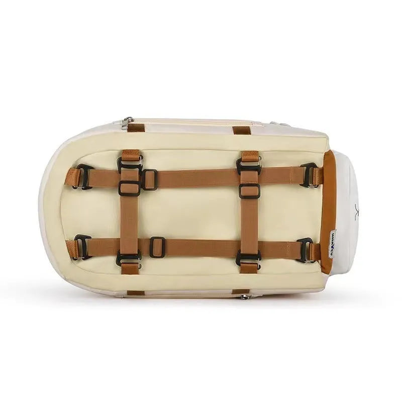 Beige hard-sided pet carrier measuring 43x25x22.5cm with EPE padding construction