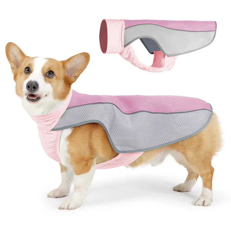 Light grey polyester dog cooling vest for summer heatstroke prevention on a medium-sized dog.