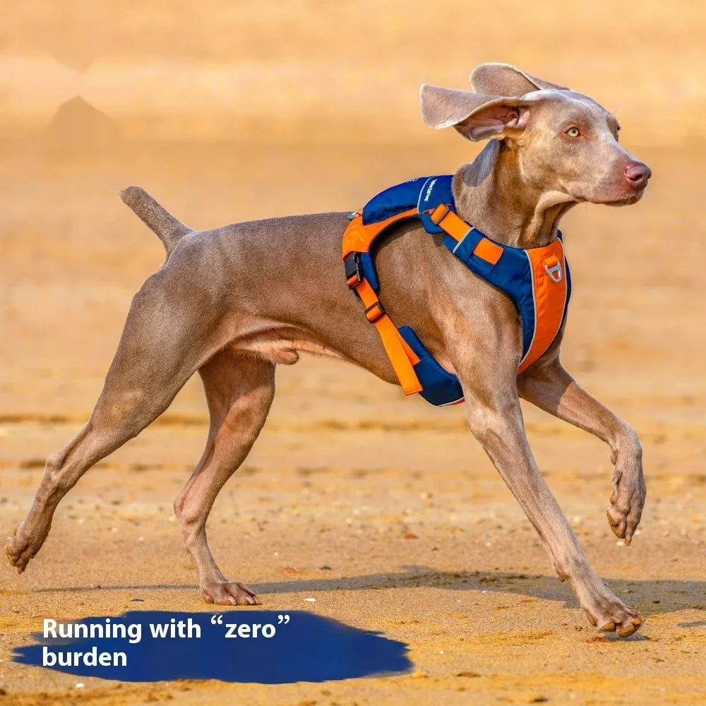 Orange blue nylon dog chest strap vest harness with hand rope attachment shown in S size