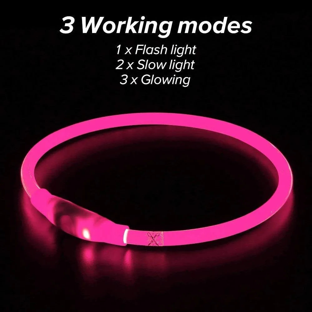 USB-rechargeable LED dog collar glowing blue with adjustable length for night safety
