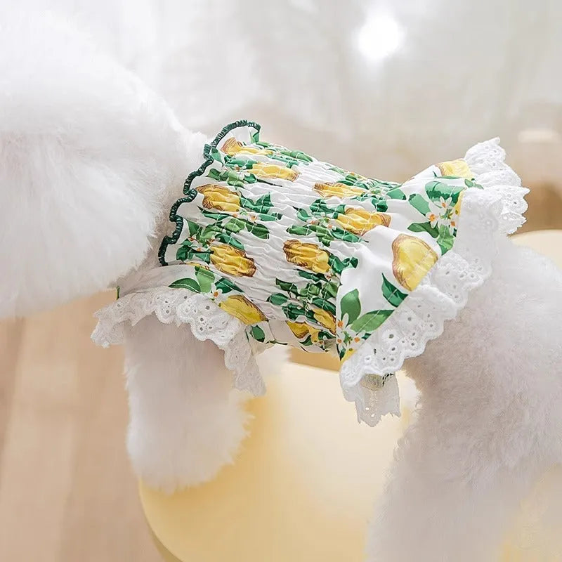 Rock Yellow Lemon thin breathable strap dog skirt for small to medium dogs on mannequin