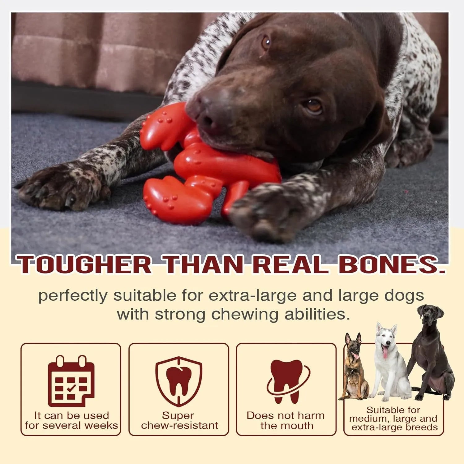 Red hard material dog chew toy for aggressive chewers measuring 170mm long
