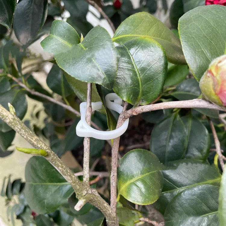 Small plastic plant clip shaped like a cat, shown in red, yellow, green, and white colours, for securing plant stems.