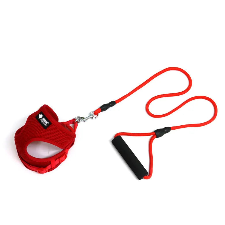 Round rope dog leash with foam handle and matching mesh collar in blue, pink, red, or yellow for small dogs