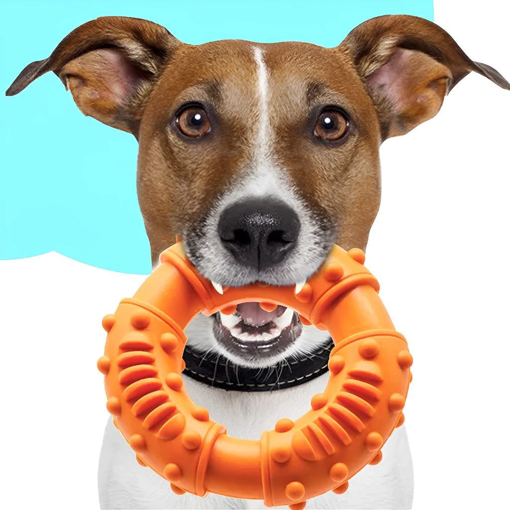 Blue rubber dog fetching stick toy with hollow centre for chew and fetch games