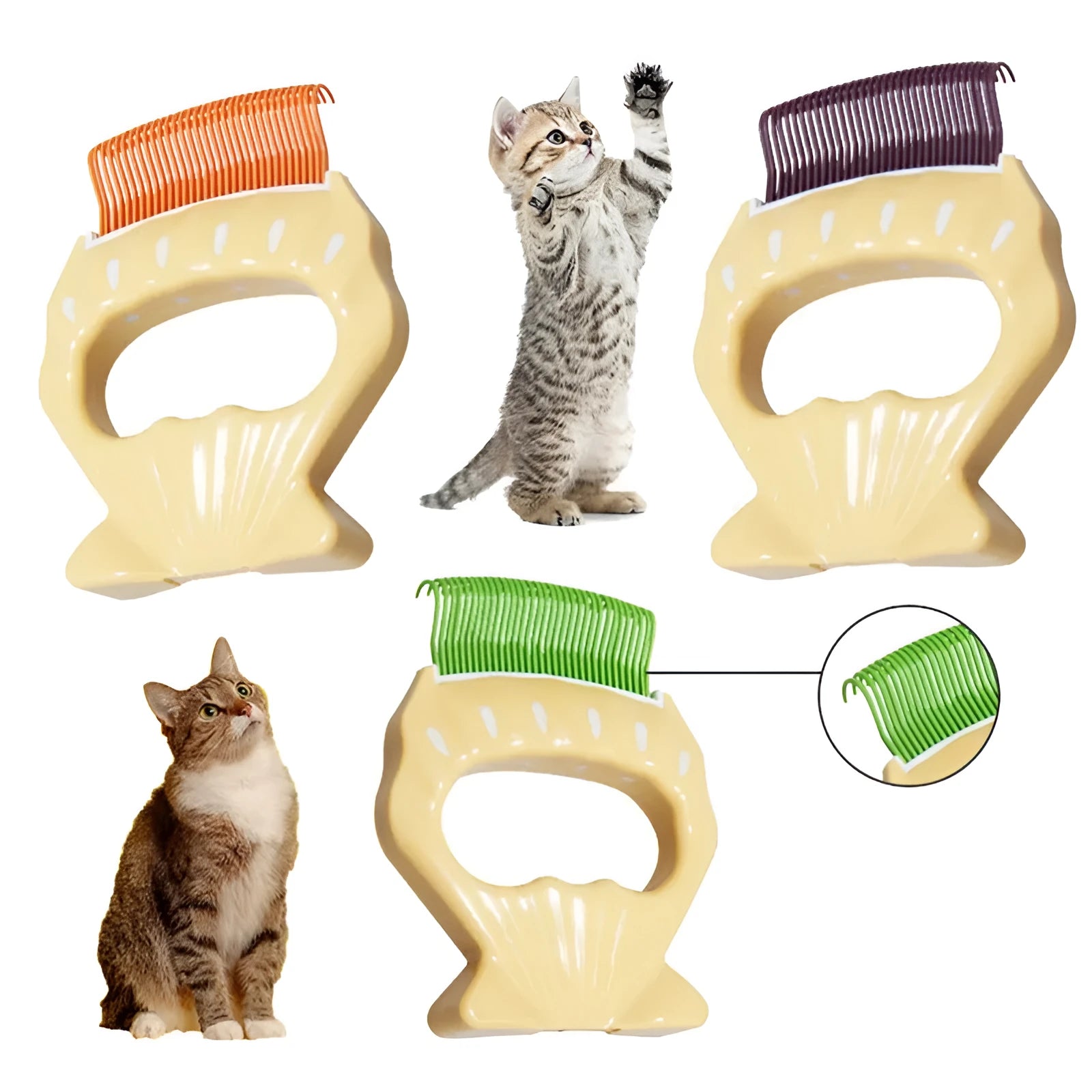 Shell-shaped pet grooming brush with bent wire bristles in green, orange or purple colours