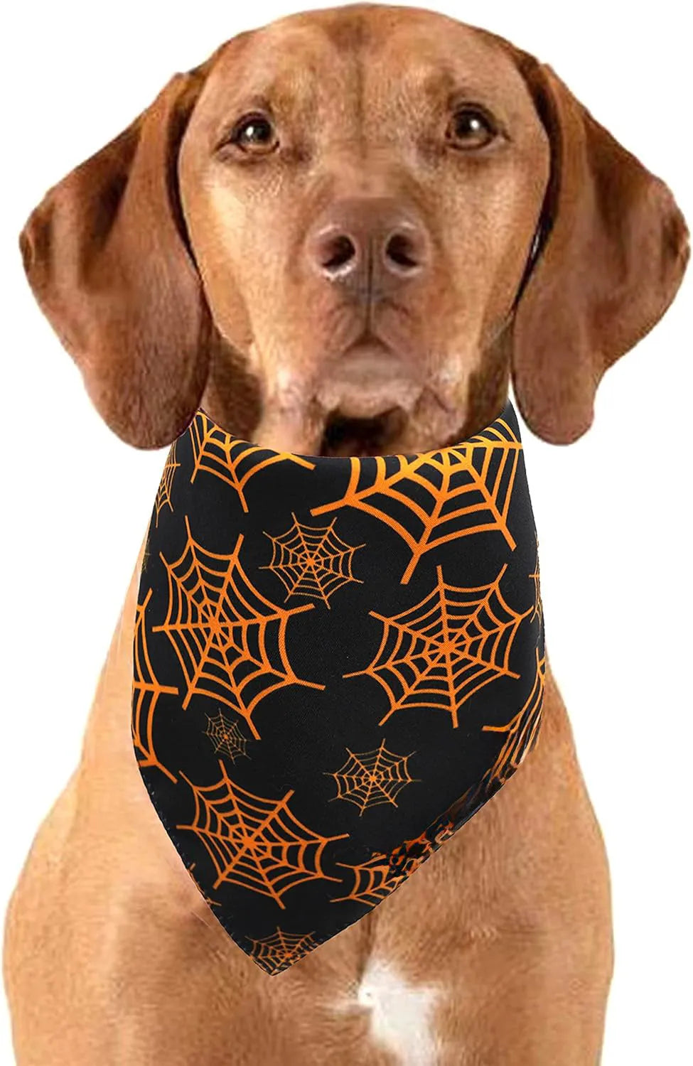 Reversible Halloween dog bandana with pumpkin and spider web patterns in black and orange colours