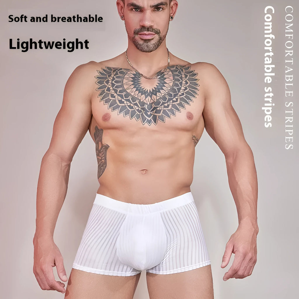 Men's striped underwear in thin transparent nylon, shown in black, dark grey, and white.