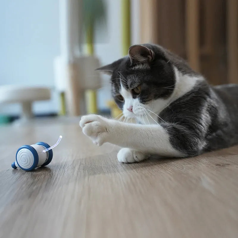 Automatic electric mouse cat toy in blue or yellow, 60x50x36mm, with USB cable and ABS TPU PVC body