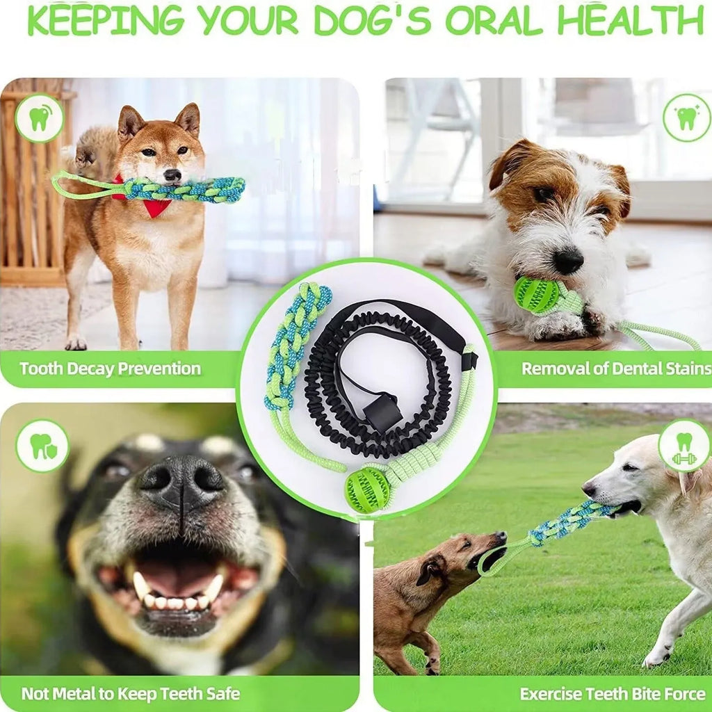 Cotton rope dog tug toy with colourful ball attachments for tug of war play