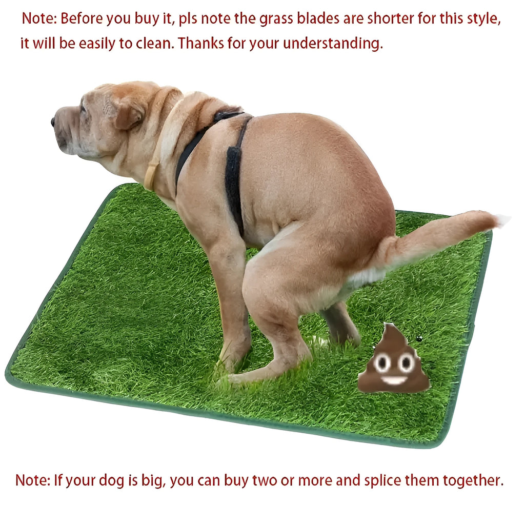 Artificial grass dog toilet training mat on floor with measurement showing 46x36cm size