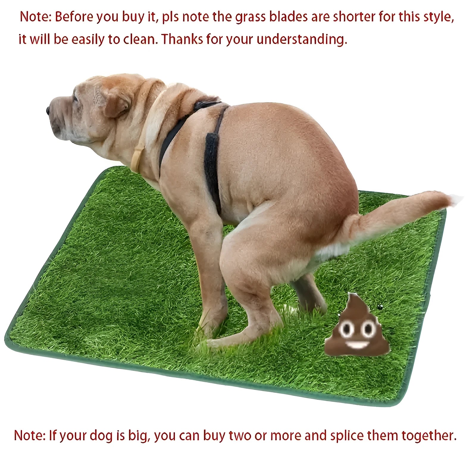 Artificial grass dog toilet training mat on floor with measurement showing 46x36cm size