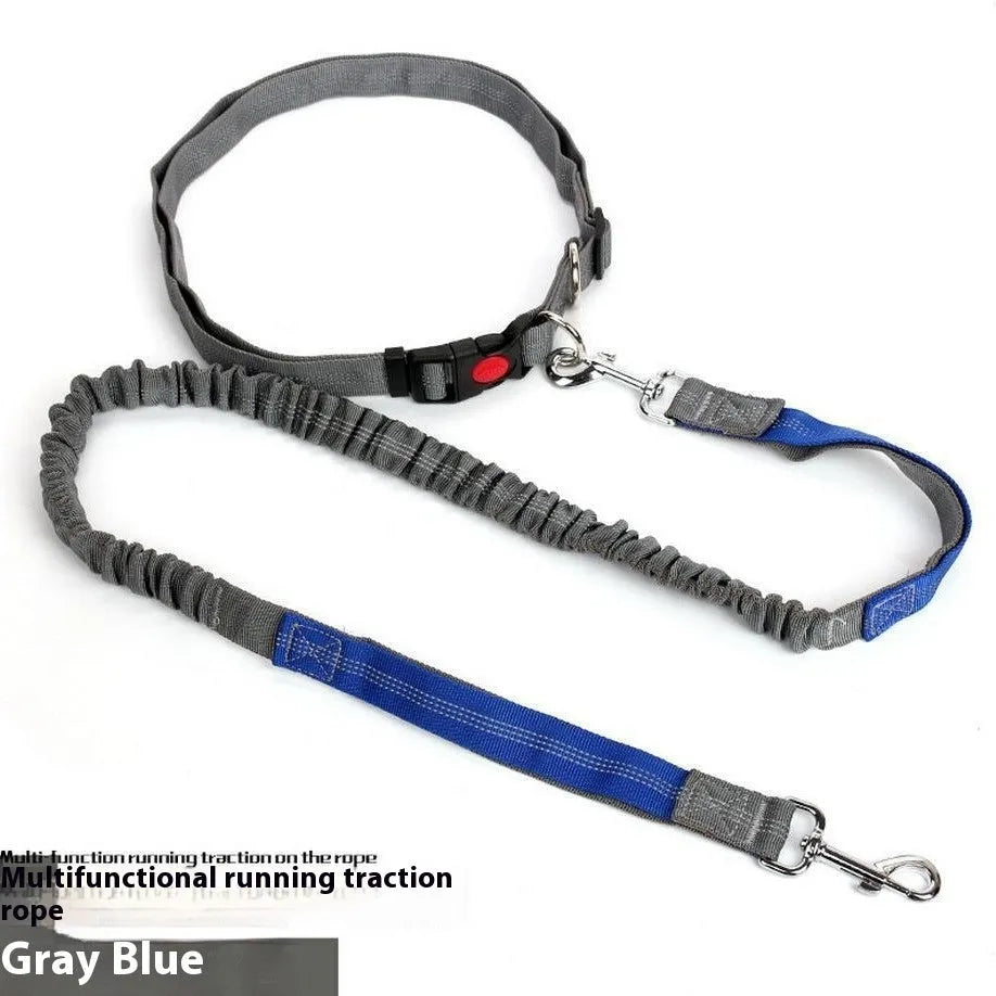 Grey and green reflective nylon dog leash with elastic section, shown at 2.5cm width.