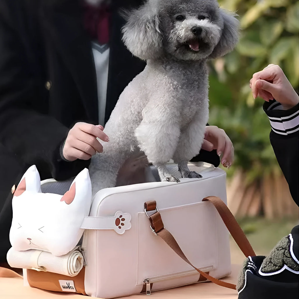 Beige hard-sided pet carrier measuring 43x25x22.5cm with EPE padding construction