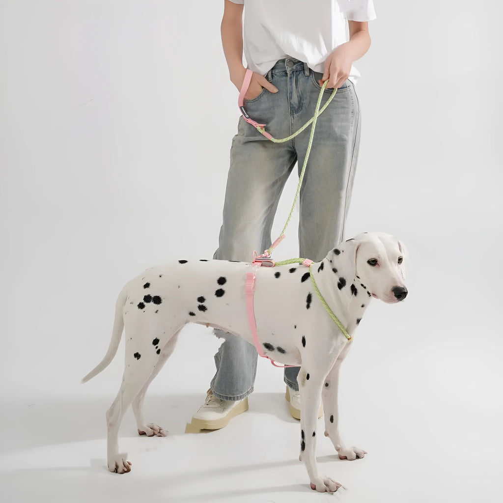 Solid colour PVC dog hand holding rope leash in dark red purple yellow on a green background.