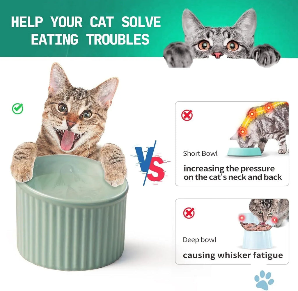 Ceramic elevated cat bowl in green colour with raised feeding design