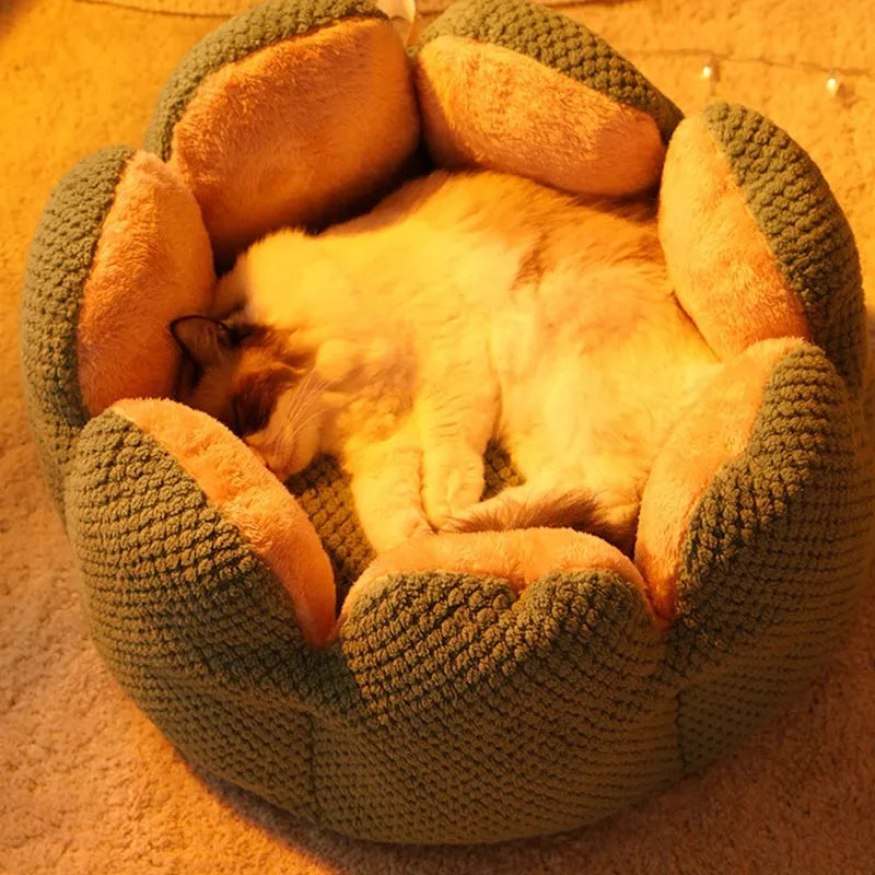Green cactus petal shaped enclosed plush bed for a cat or small dog on a hardwood floor.