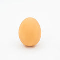 Egg-shaped dog chew toy with textured surfaces for dental cleaning and sound feature