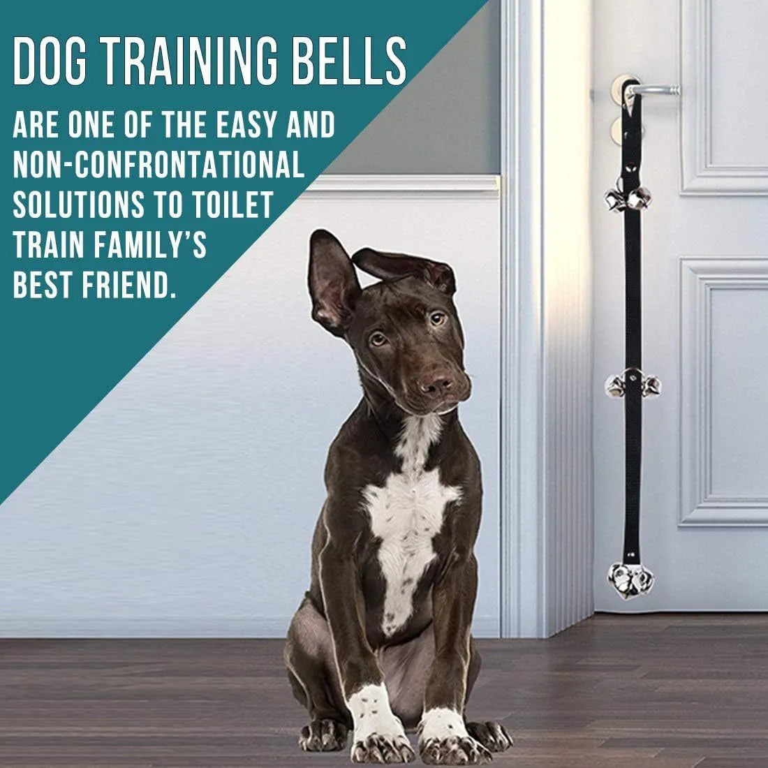 Silver metal dog training bells on an adjustable black nylon strap hanging on a door.