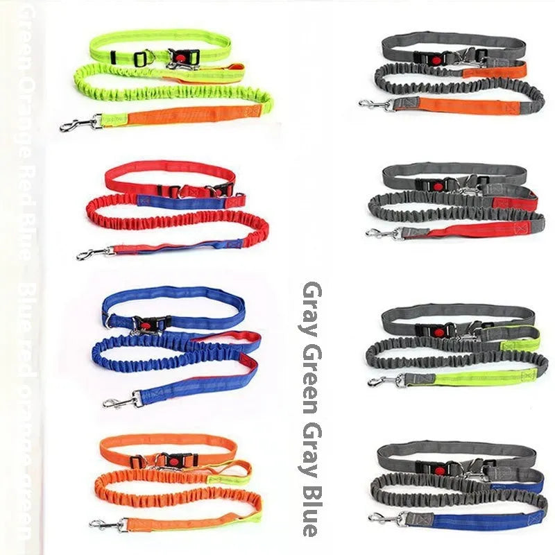 Grey and green reflective nylon dog leash with elastic section, shown at 2.5cm width.
