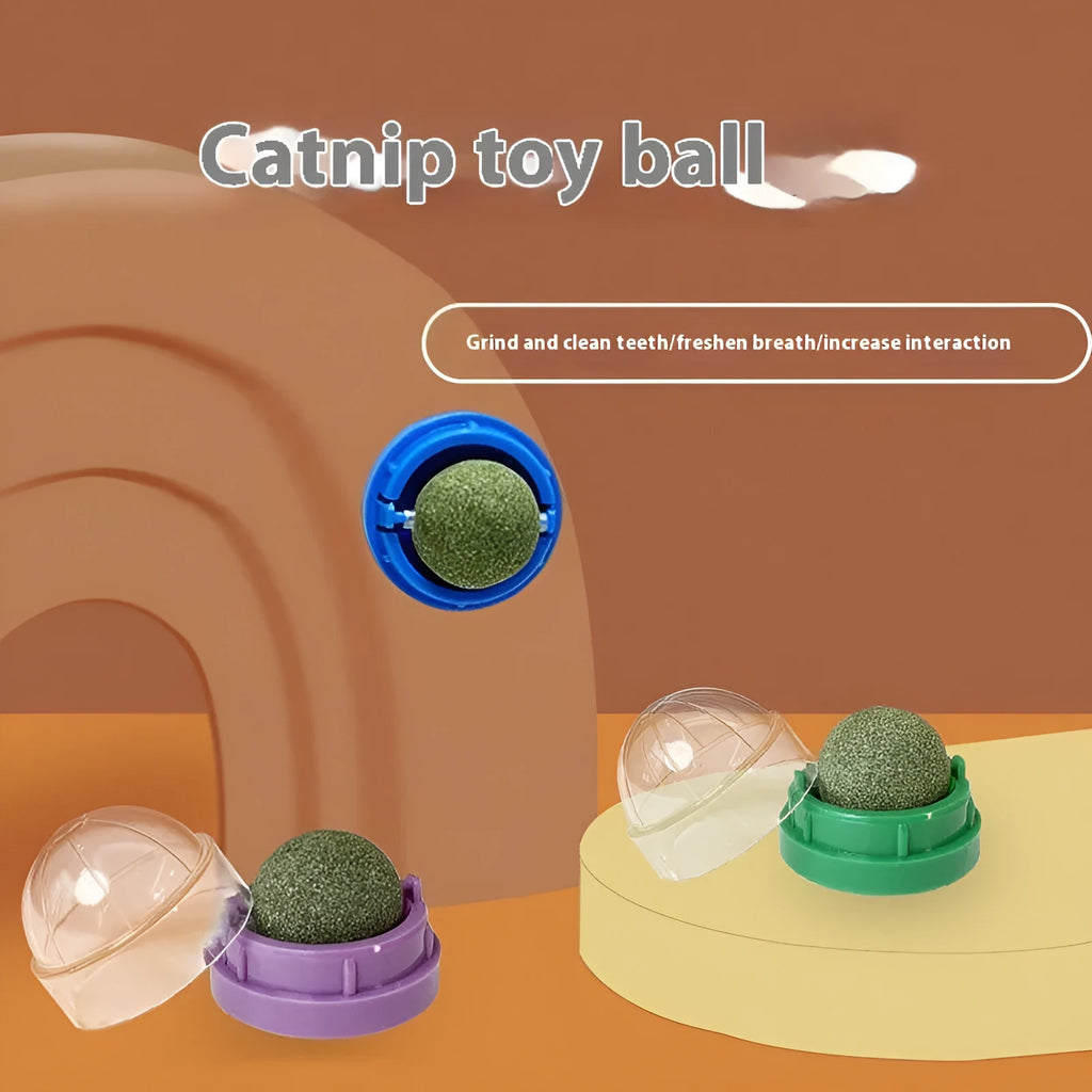 A plastic catnip chew ball toy for dental cleaning, shown in assorted colours including pink, blue, and green.